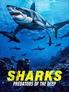 Plakát filmu Sharks: Predators of the Deep