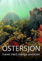Plakát filmu Itämeren monet kasvot