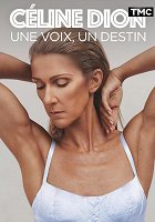 Plakát filmu Céline Dion : Une voix, un destin